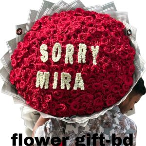 300 Pcs Red Rose Sorry Bouquet in Dhaka